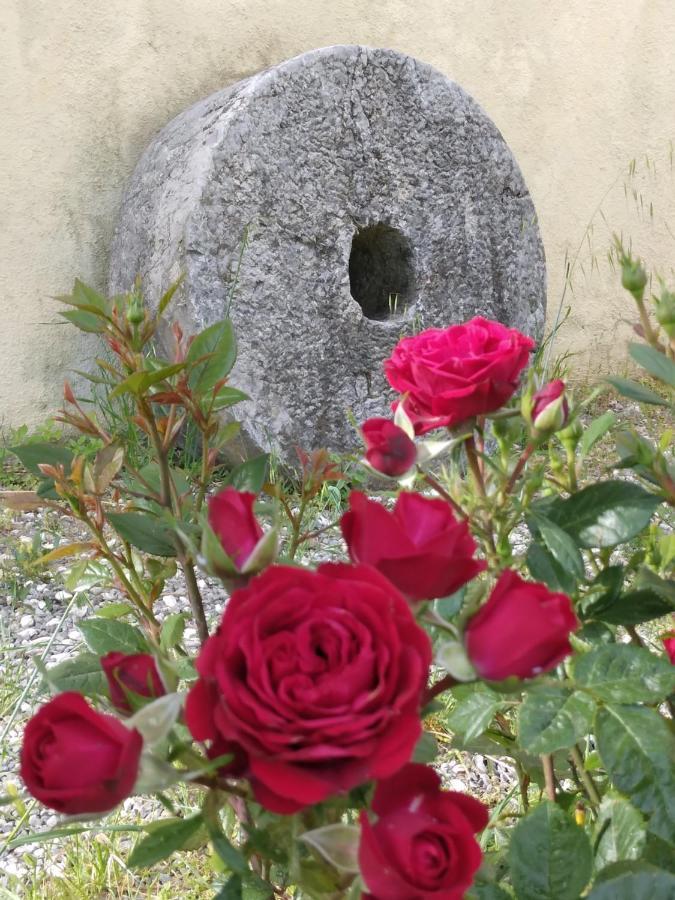 Il Giardino Di Julia B&B Тортора Екстер'єр фото