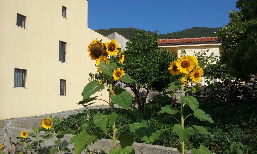 Il Giardino Di Julia B&B Тортора Екстер'єр фото