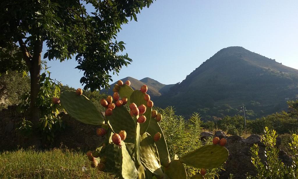 Il Giardino Di Julia B&B Тортора Екстер'єр фото
