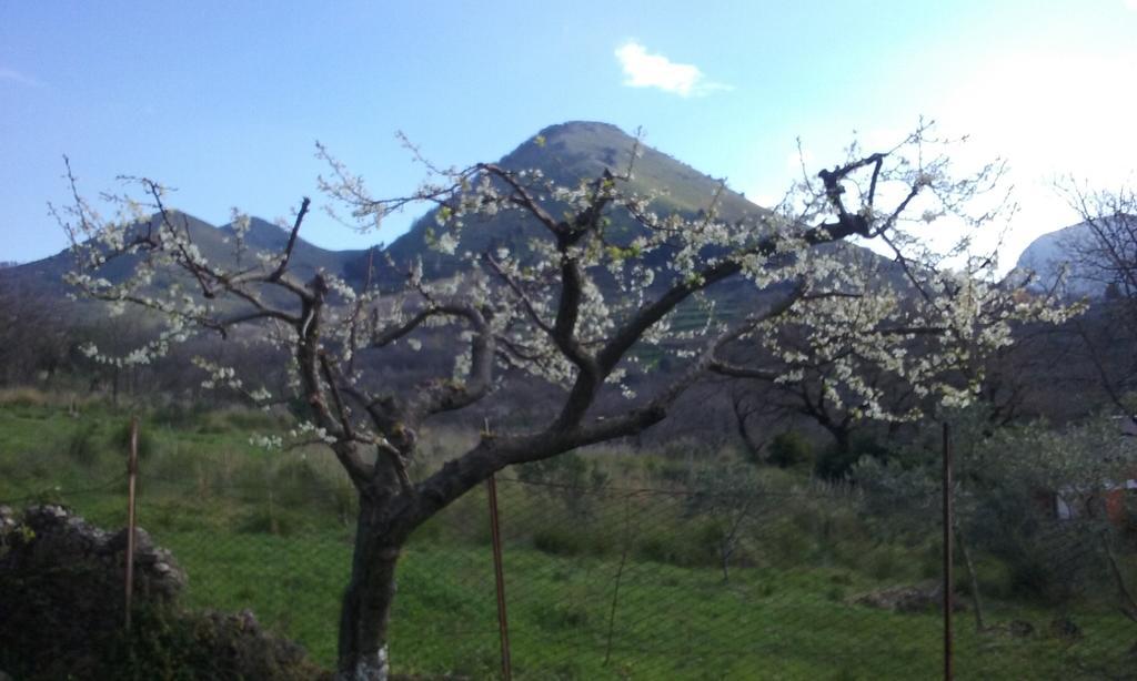 Il Giardino Di Julia B&B Тортора Екстер'єр фото