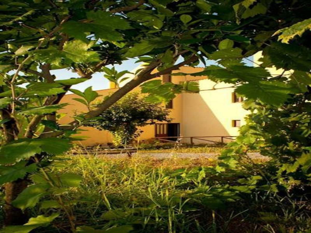 Il Giardino Di Julia B&B Тортора Екстер'єр фото
