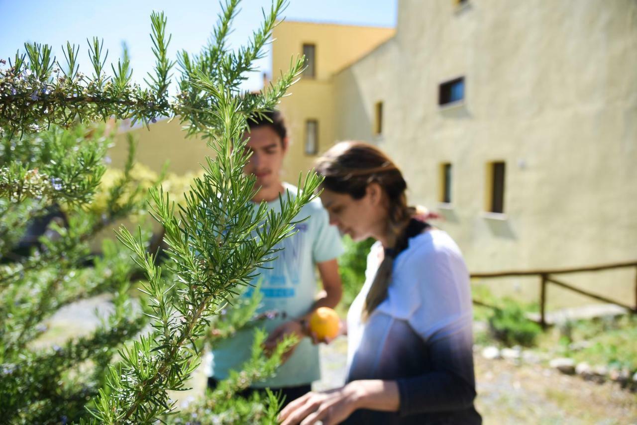 Il Giardino Di Julia B&B Тортора Екстер'єр фото
